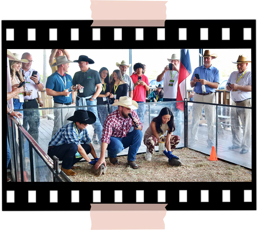 Guests watching armadillo races during a corporate event at Imagen Venues