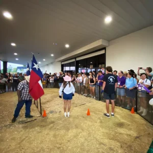 Guests cheering during an armadillo race at Imagen Venues in Houston