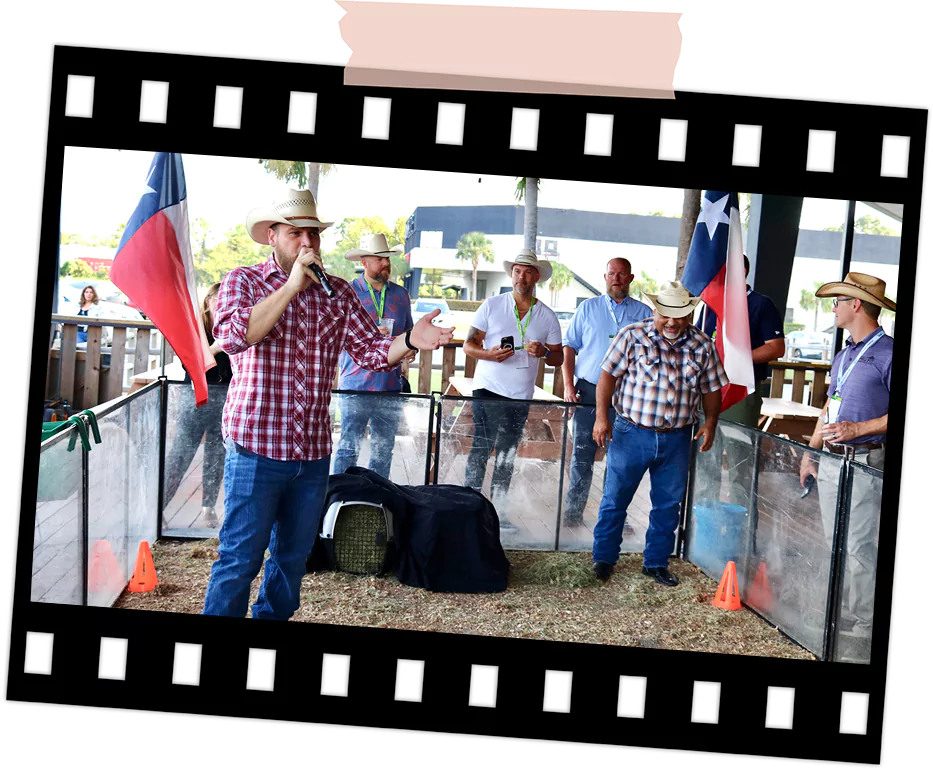 Close-up of armadillo race activity at Imagen Venues Houston