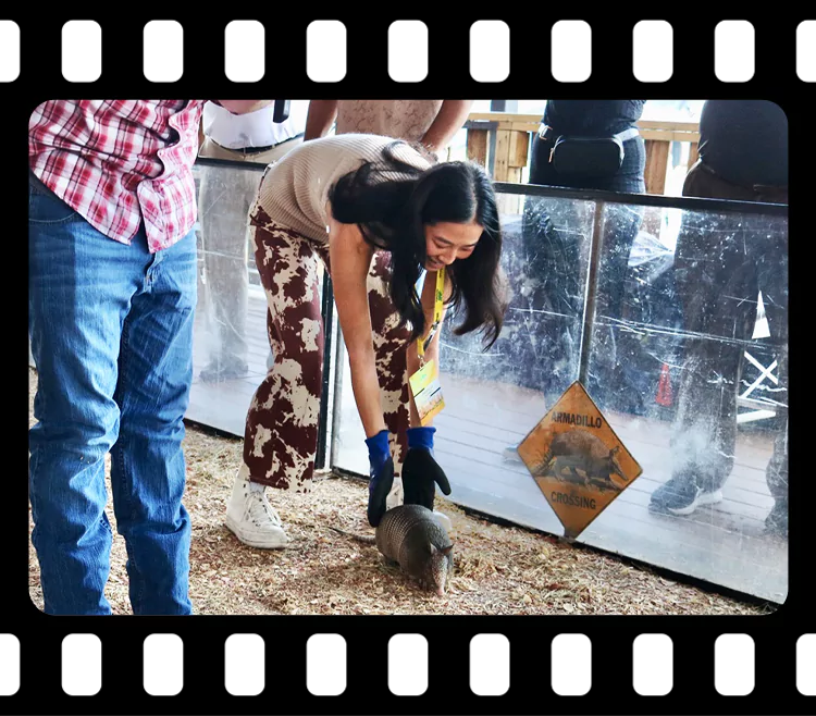 Attendees enjoying armadillo races at Imagen Venues Houston